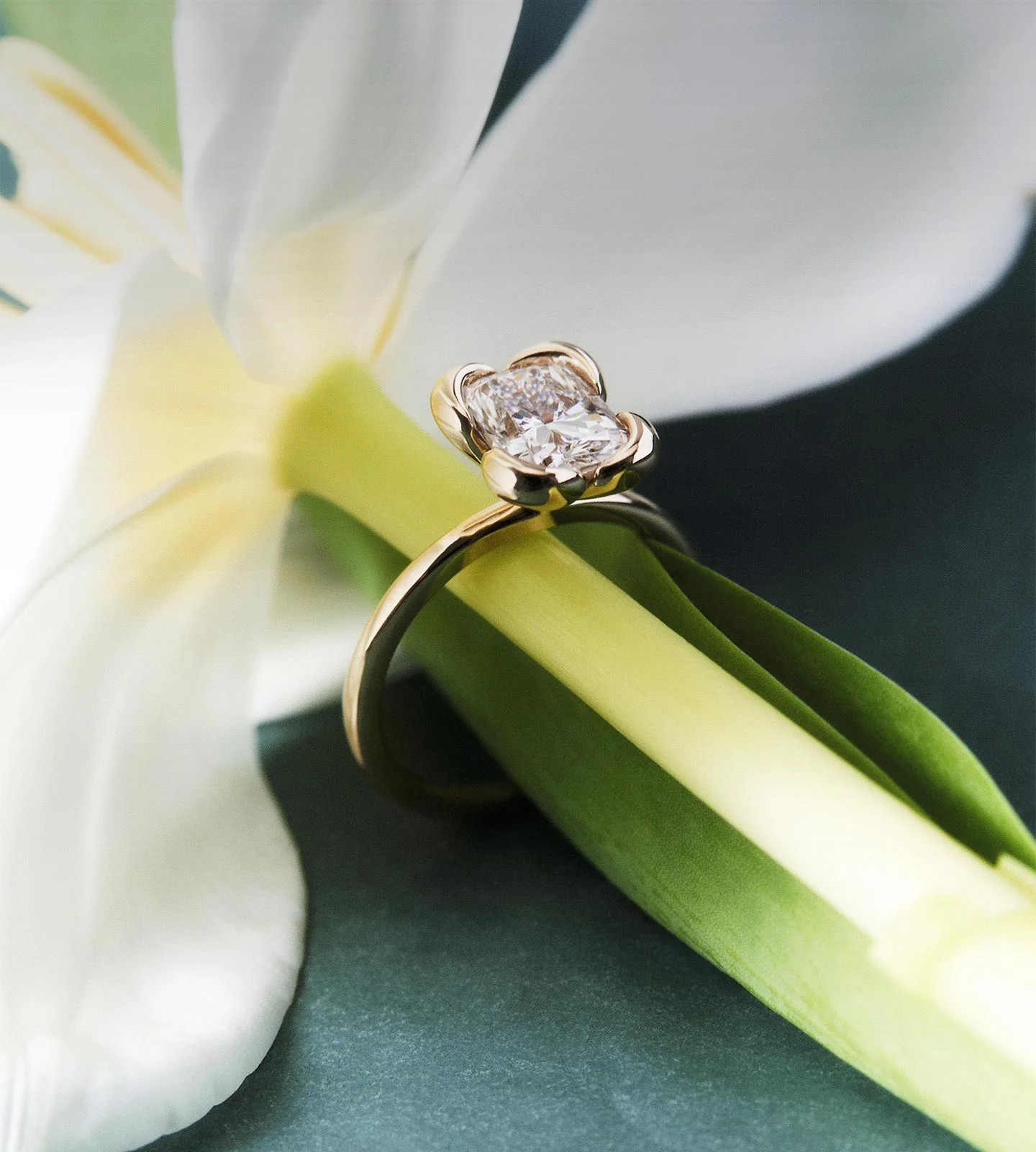 Your Love, Sustainably Crafted